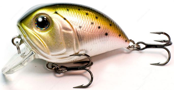 Rolls for pike: top 10 catchy wobblers, fishing tricks