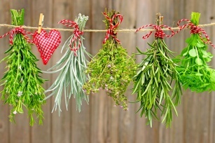 Rosemary, Dandelion, Ginger Rhizome &#8211; Introducing herbs that will ease indigestion!