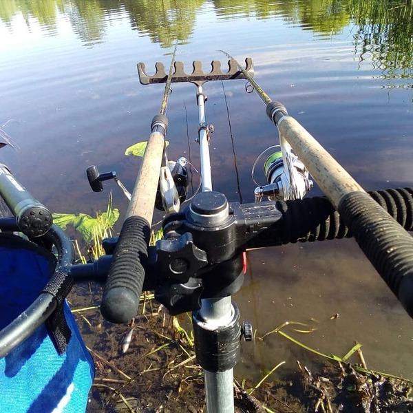 Rules for catching bream on the feeder