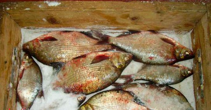 Salting fish at home of different sizes: delicious recipes