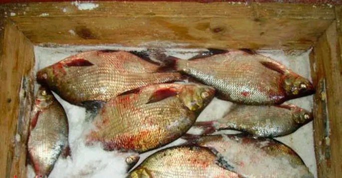 Salting fish at home of different sizes: delicious recipes