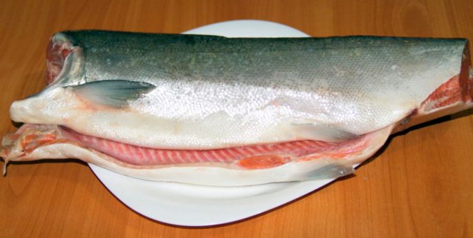 Salty coho salmon at home, delicious recipes