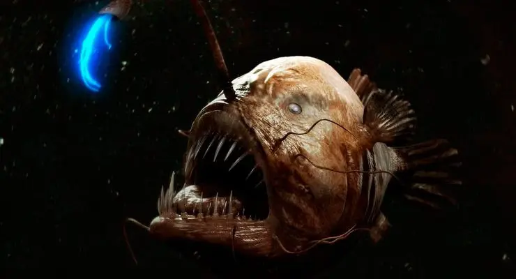 Sea devils (anglers): a description of the fish, where it lives, what it eats