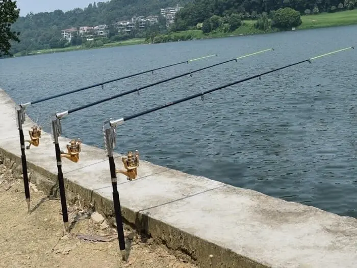 Self-hooking rod