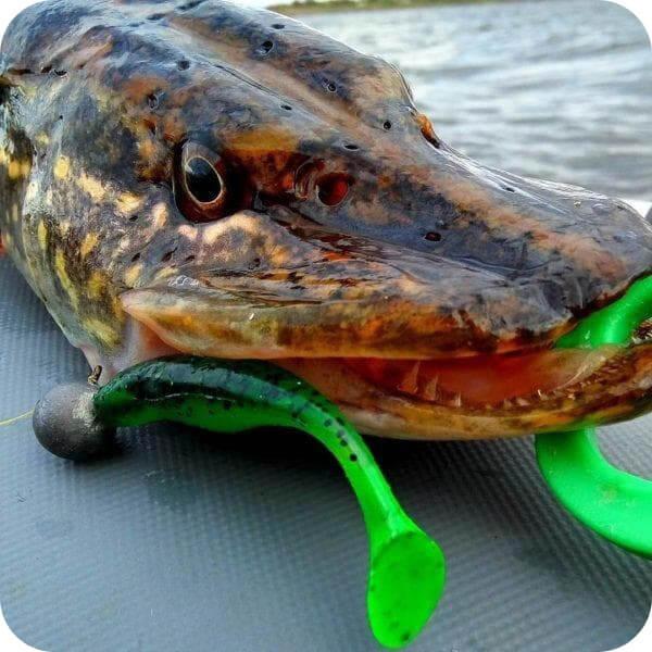 Silicone lures for pike