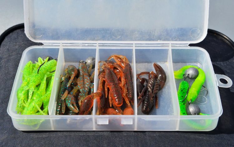 Silicone lures for zander: features, varieties and top best models