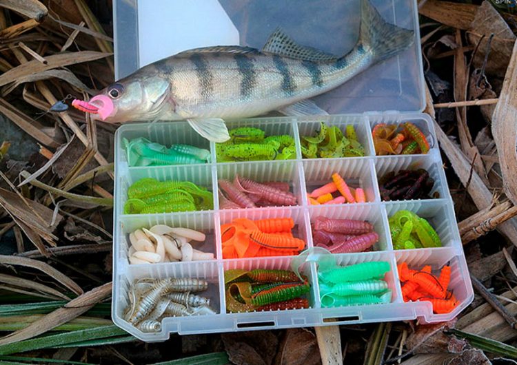 Silicone lures for zander fishing: TOP5, types of equipment