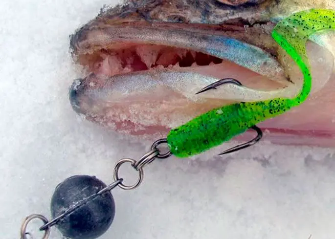 Silicone lures for zander fishing: TOP5, types of equipment