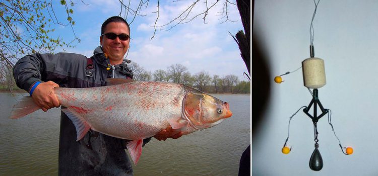 Silver carp fishing, tackle for silver carp fishing, bait