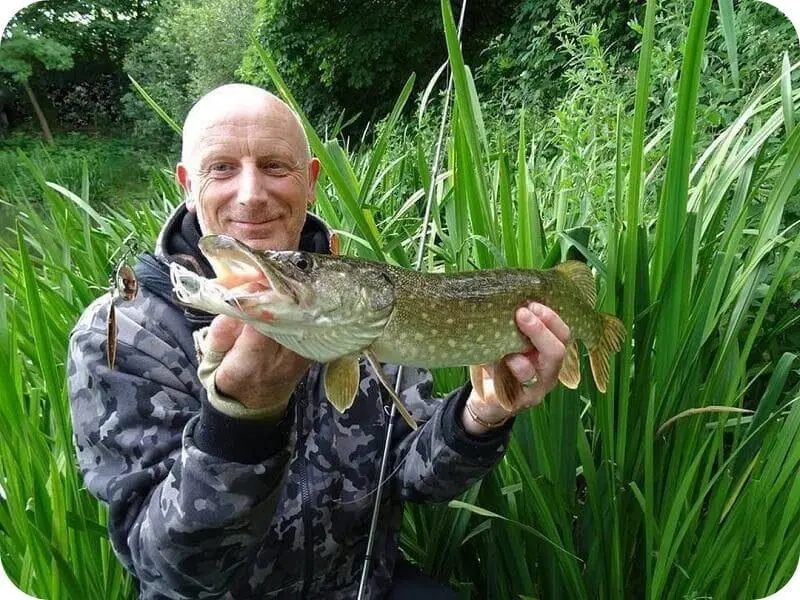 Spinnerbait for pike