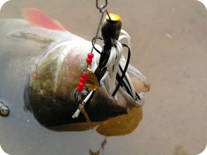 Spinnerbait for pike