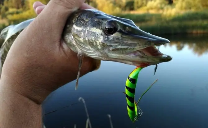 Spinners for pike: features of choice and the best models