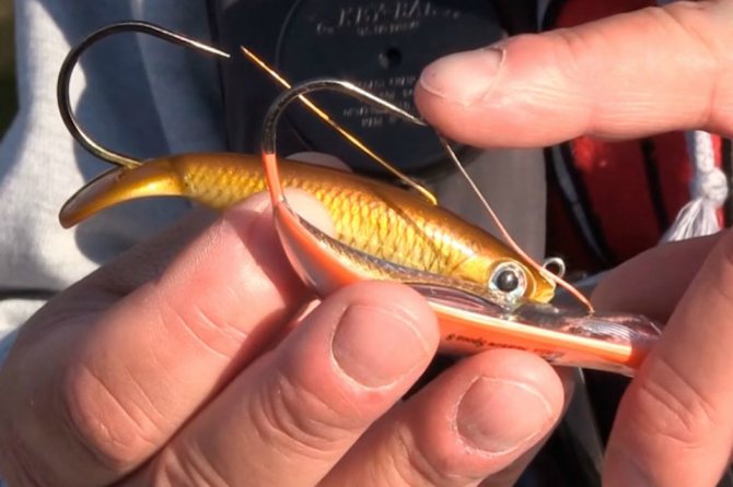 Spinners for pike: features of choice and the best models
