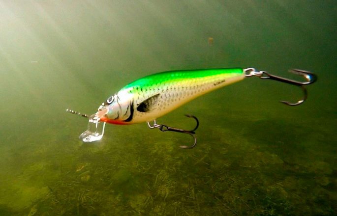 Spinning for twitching: 10 best rods, test, build
