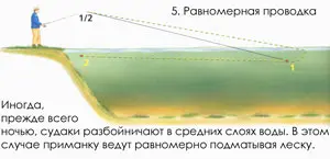 Spinning postings, their ways and methods, spinning fishing techniques