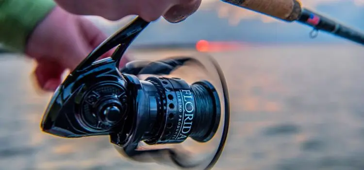 Spinning reels: what are the types, how to choose a reel