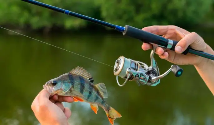 Spinning reels: what are the types, how to choose a reel