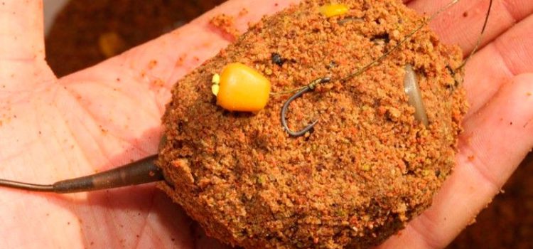 Spring fishing bubur: kumaha carana masak, resep pangalusna