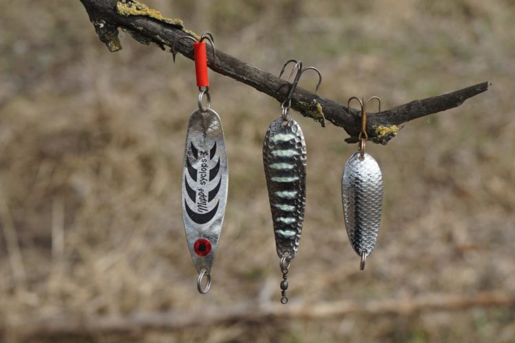 Spring zander fishing: where to look for a predator, what to catch and what wires to use