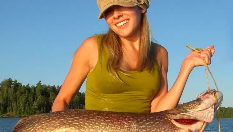 Summer fishing: pike fishing in the heat on spinning