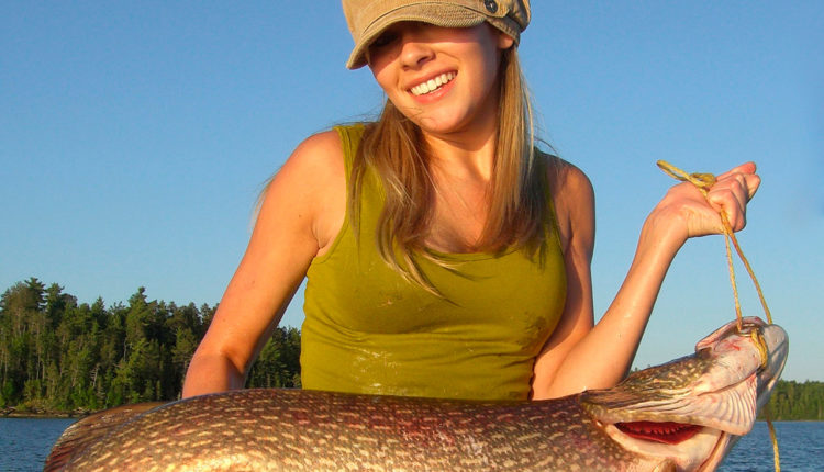 Summer fishing: pike fishing in the heat on spinning