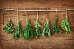 Summer herbs &#8211; dill, parsley, basil. What properties and applications do they have?