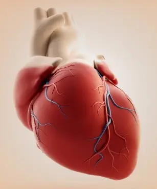 Symptoms, treatment and prevention of ischemic heart disease