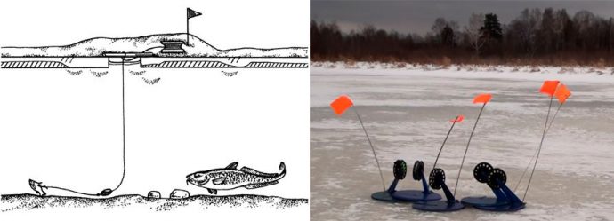 Tackle for catching burbot: in winter, summer, spring and autumn, fishing methods