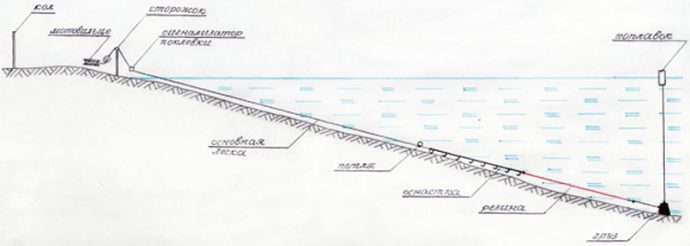 Tackle for catching burbot: in winter, summer, spring and autumn, fishing methods