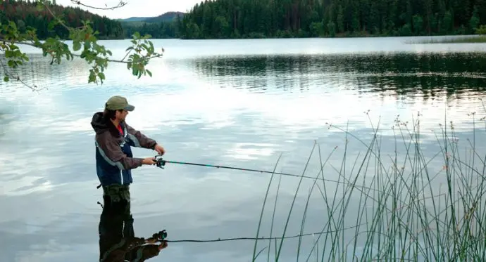 Tackle for catching zander: spinning, equipment, the best lures