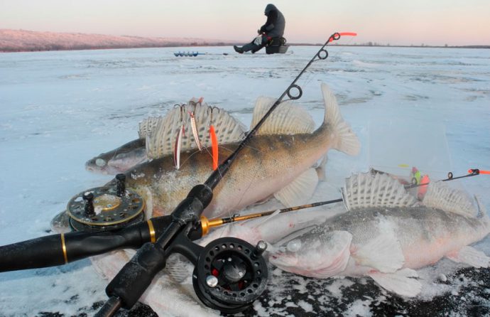 Tackle for winter fishing: equipment, winter fishing rod, lures