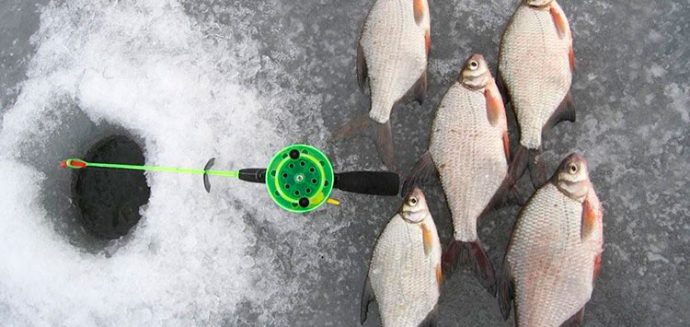 Tackle for winter fishing: equipment, winter fishing rod, lures