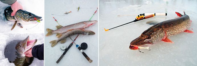 Tackle for winter fishing: equipment, winter fishing rod, lures