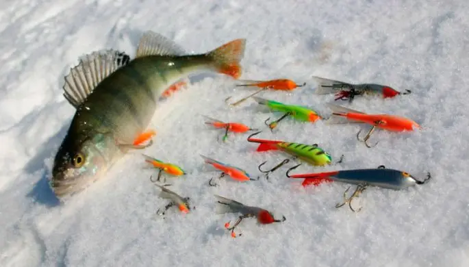 Tackle for winter fishing for perch: types of gear, lures and places for fishing