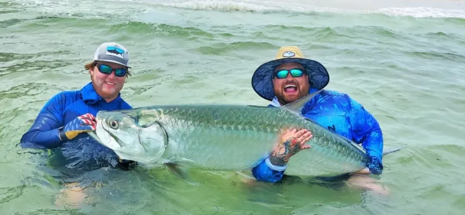 Tarpon fish: fishing and photo fishing for tarpon