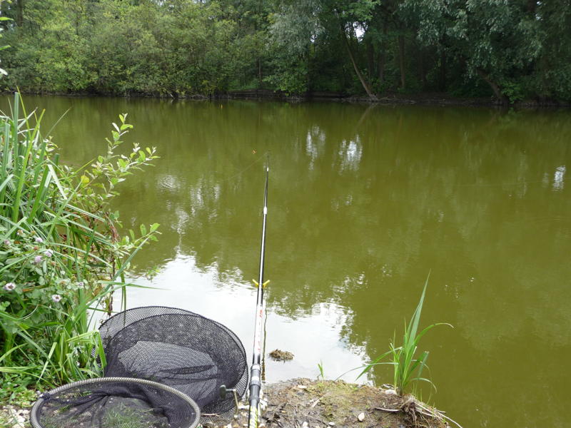 Tench fishing: where to catch, how to catch tench, what to catch