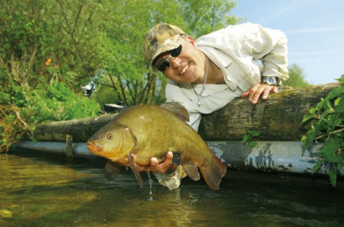 Tench fishing: where to catch, how to catch tench, what to catch