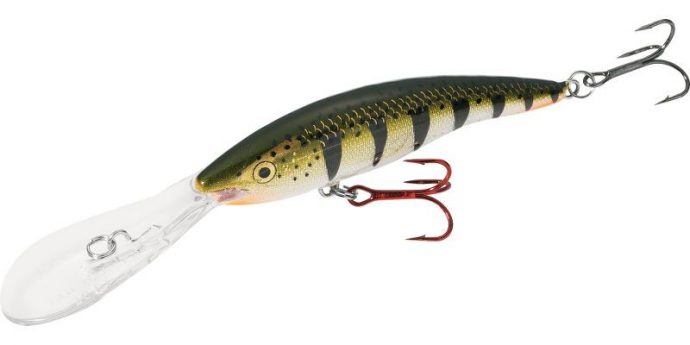 The best baits for catching catfish, animal and artificial origin