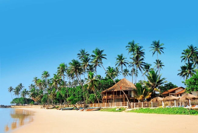 The best beaches in Sri Lanka