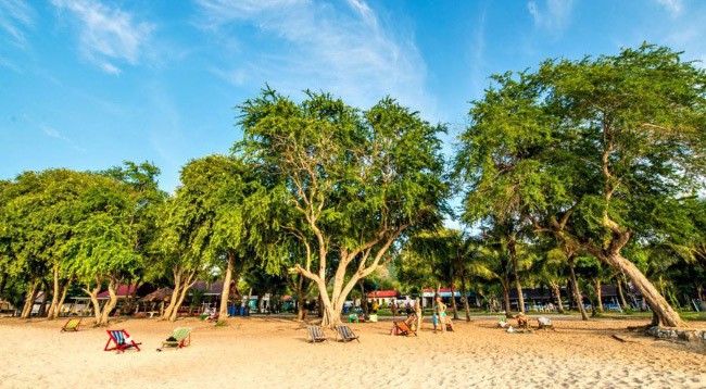 The best beaches of Pattaya