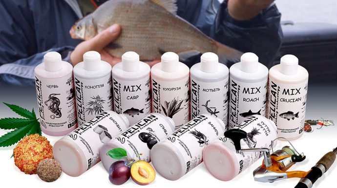 The best flavors for catching crucian carp with your own hands