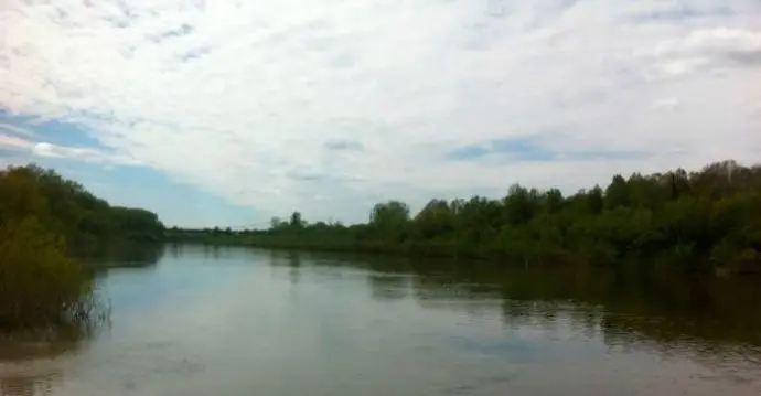 The best weather for fishing, factors affecting the bite