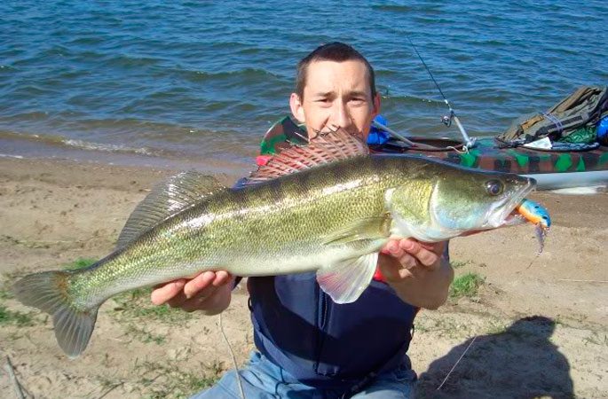 The best wobblers for zander: top 10 best trolling wobblers