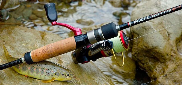 The choice of spinning and reels for fishing