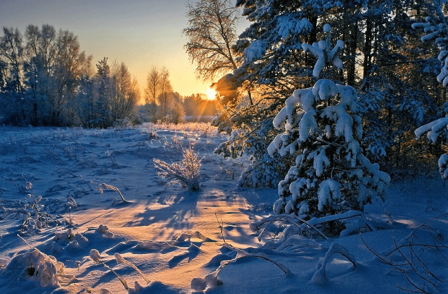 The coldest winters in Russia in 100 years