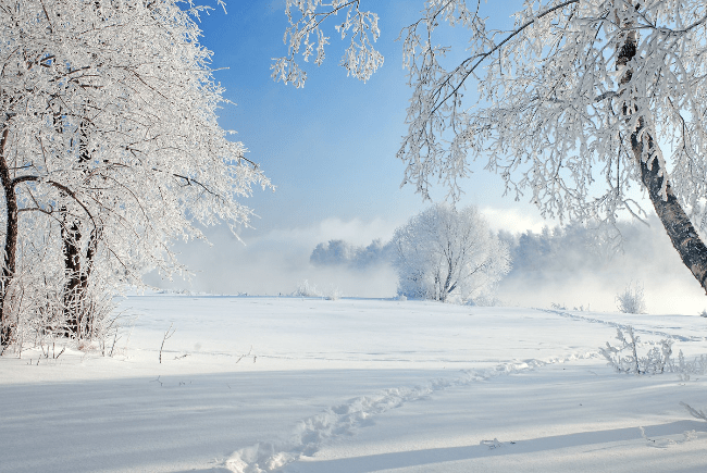 The coldest winters in Russia in 100 years