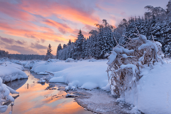 The coldest winters in Russia in 100 years