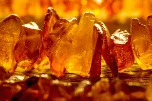 The gold of the North and natural medicine. Does amber tincture really heal?