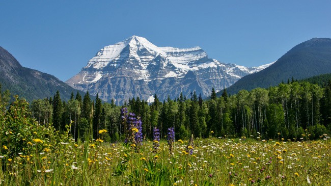 The highest mountains in North America