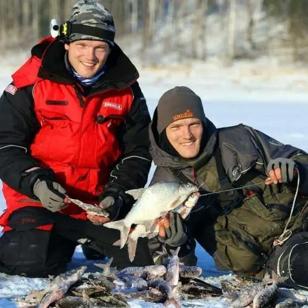 The main differences between bream and bream